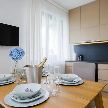 Woronicza Premium - 80 公寓 *